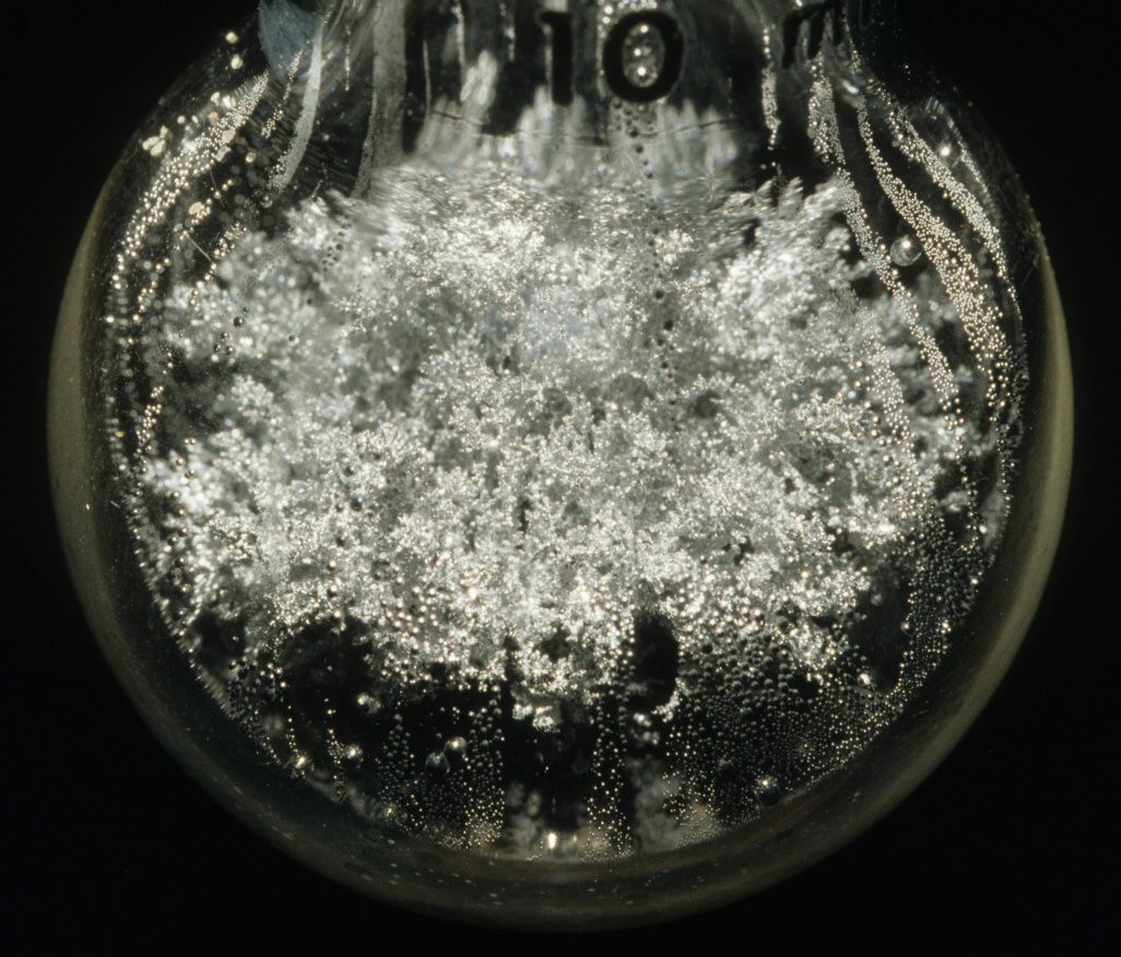 Vegetative gold – the alchemical 'tree' discussed in the interview. Photo Principe, detail. See below for three stages of the tree's growth in the philosophick womb.